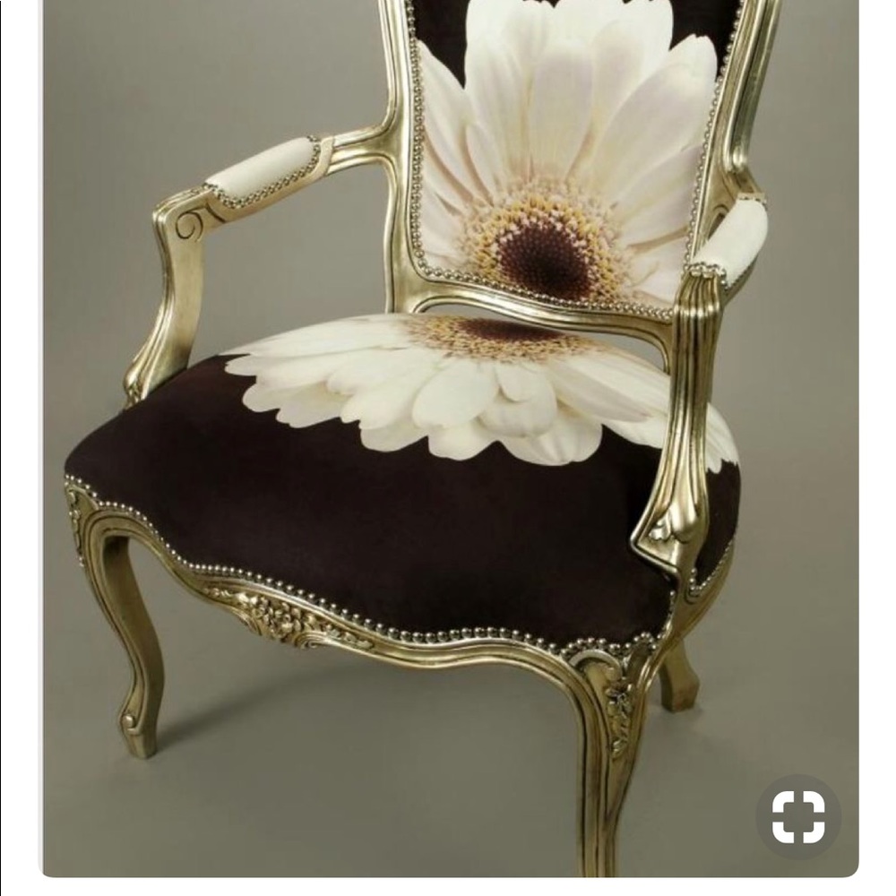 Seated with elegance......✨✨✨✨